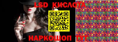 крисы Абакан