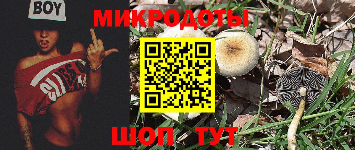 Алушта  Галлюциногенные грибы Magic Shrooms  Вход с VPN 