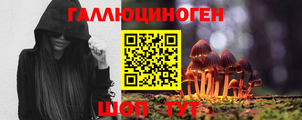 Галлюциногенные грибы мицелий Алушта